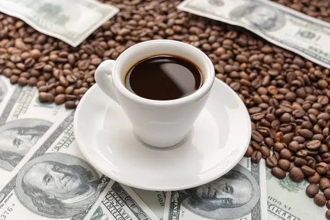 Aumento na produção global de café não garante queda de preços; entenda o motivo